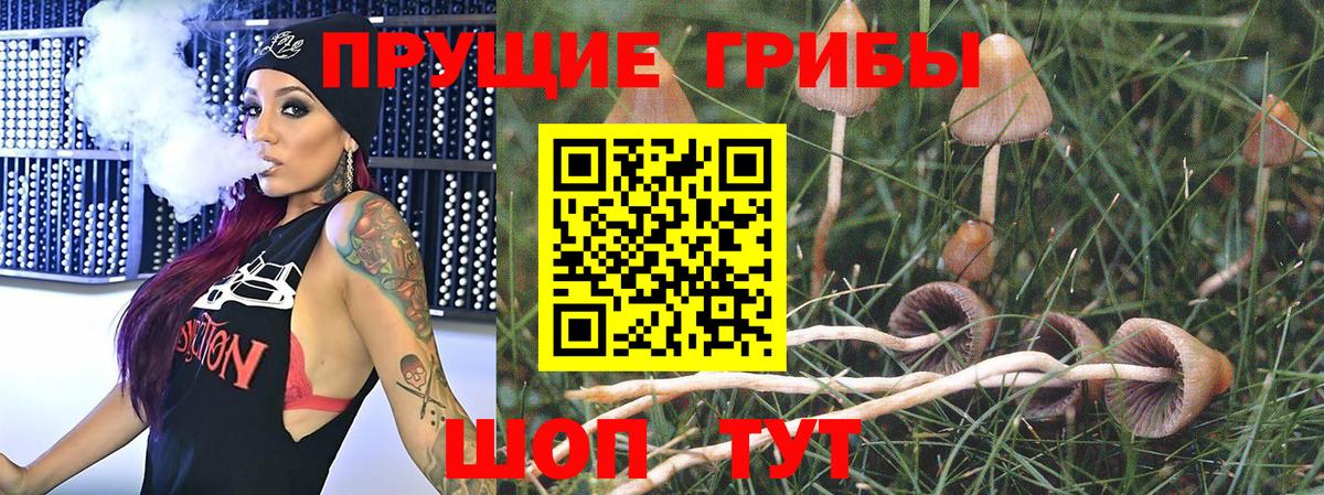 Псилоцибиновые грибы Magic Shrooms  наркотики  Сегежа  Вход с VPN 